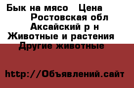 Бык на мясо › Цена ­ 45 000 - Ростовская обл., Аксайский р-н Животные и растения » Другие животные   